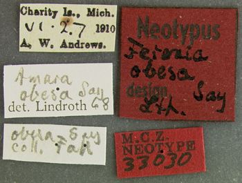 Media type: image;   Entomology 33030 Aspect: labels